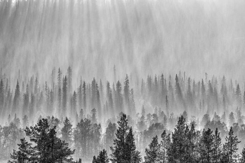 Backlight over forest area, Gällivare, Norrbotten, Lapland, Sweden, August 2020