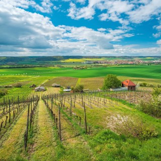 View over vineyard with vineyard cottage into the Unstrut valley, blue sky with dramatic clouds in