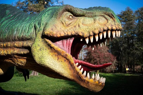 LUBIN, POLAND - OCTOBER 28, 2024 - Realistic model of dinosaur Tyranosaurus Rex in Park Wroclawski.