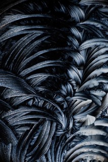 Close-up black and white image showcasing the intricate patterns of salicylic acid microcrystals,