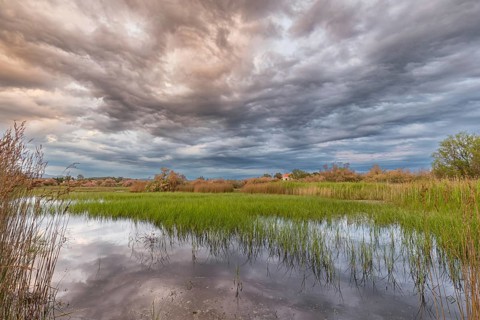 Landscape Greece, reeds, Kalloni Pool, Lesbos Island, Greece, cloudy mood Lesbos