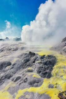 Prince of Wales and Pohutu geysers erupting, Te Puia Thermal Valley, Rotorua, Bay of Plenty, North