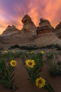 Dramatic sunset skies blaze above the unique rock formations of Coyote Buttes in the Paria
