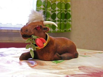 Wobble cow figure on a kitchen table, Franconia, Bavaria, Germany