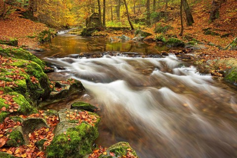 Geotope strudel pots, moss-covered rocks with colorful leaves on the Schwarza river surrounded by