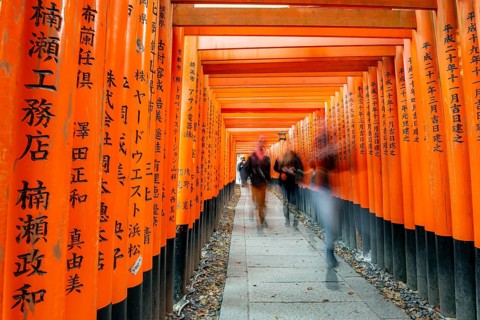 Visitors on a journey through hundreds of red traditional torii gates, Fushimi Inari-taisha, Shinto