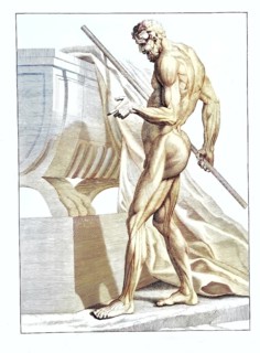 An anatomical model, side view, reproducing the proportions of the statue of Faunus in the Villa