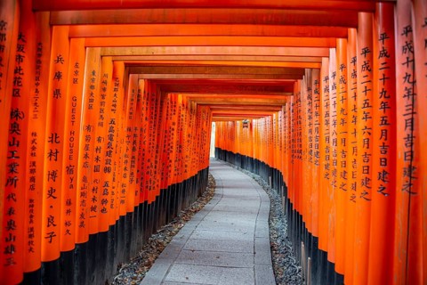 Walk through hundreds of red traditional torii gates, Fushimi Inari Taisha, Shinto Shrine, Fushimi