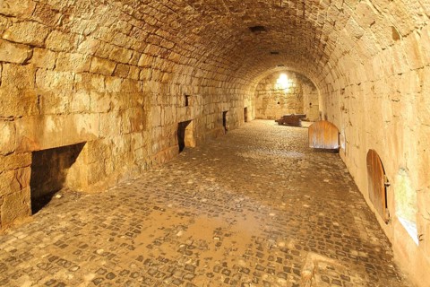 Vaulted cellar with medieval cannon, corridor, interior view, underground, casemates, castle,