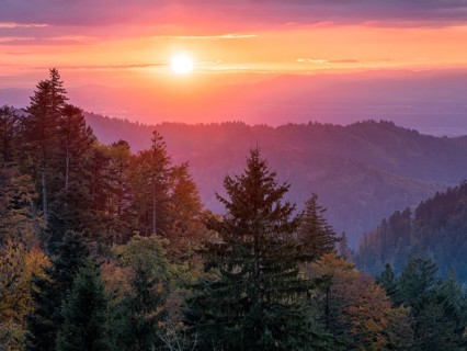 Sunset in the Scharzwald in autumn, view over the Rhine plain to the Vosges, Black Forest,