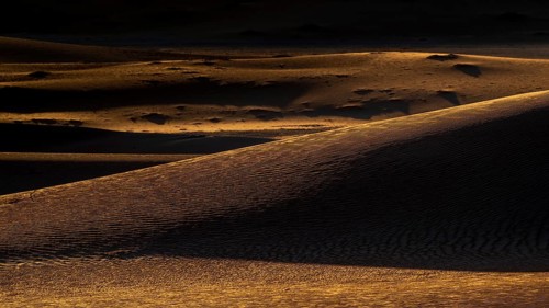 Sand dunes in the Rhub al Khali desert, empty quarter, largest sandy desert in the world, Oman