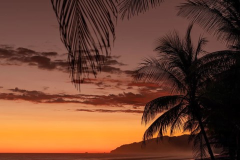 After sunset, the deep red sky glows above palms and ocean spray with views of Corcovado National