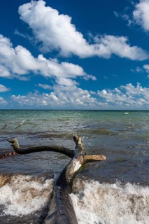 View of chalk cliffs in Jasmund National Park on Rügen, Sassnitz, Rügen, Mecklenburg-Western