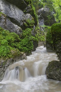 The river Weißbach running through the Seisenbergklamm, Seisenbachklamm, gorge near Weißbach bei