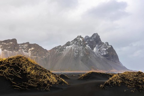 Sand dunes covered with rotten grass, lava sandy beach against mountain backdrop, winter,