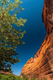 Rock formation, blue sky in Chelly Canyon National Park, Arizona, USA