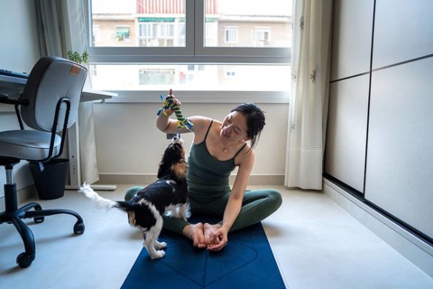 A young Asian woman attempts to exercise at home on a yoga mat while her playful dog joyfully