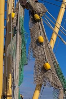 Detail, fishing net, fishing cutter, harbour, Strucklahnungshörn, Nordstrand, Nordfriesland,