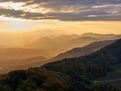 View of an autumnal forest from the Gisliflue, behind the Jurassic foothills in the light of the