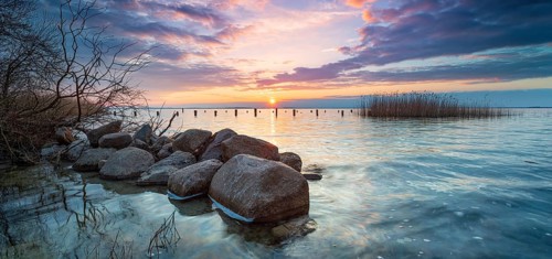 Untouched nature on the banks of Lake Müritz at sunset, large stones, reeds and trees in evening