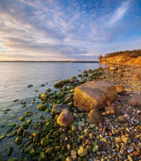 Rocky beach with boulders on the cliffs of the Bay of Greifswald in the evening light, Mönchgut