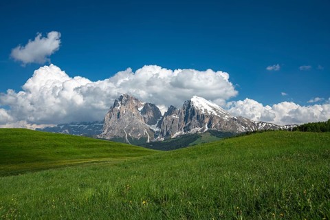 A breathtaking view of Alpe di Siusi with lush green meadows and snowy peaks in the Dolomites