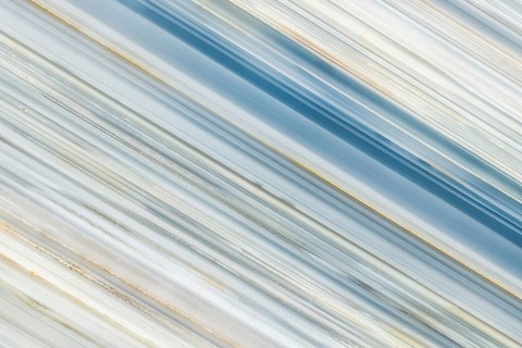 A macro photograph showcasing the striking linear patterns and mineral details inside a Whitcomb