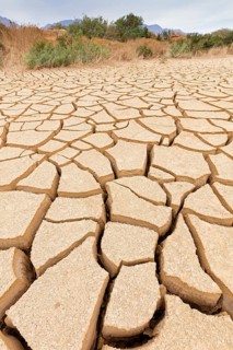 Dry earth in Israel, Middle East, water shortage, drought, Israel