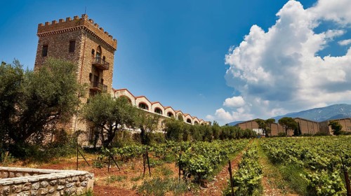 A stone tower next to vineyards under a blue sky with clouds, Achaia Clauss winery, Patras,