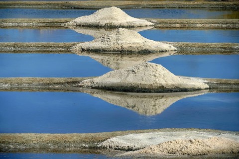 France, Brittany, salt production at Salants de Guerande, sea salt