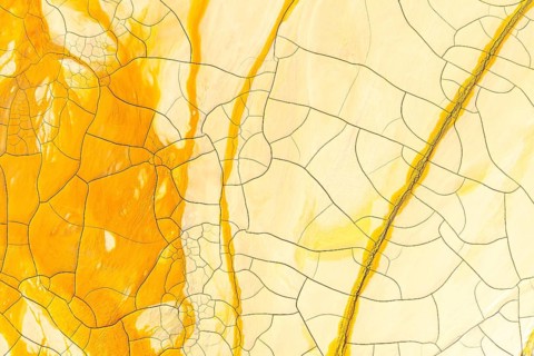 An evocative shot of a textured surface resembling golden mud, featuring a mix of cracked and