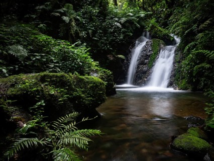 Stunning waterfall flows amidst lush greenery in the Bwindi Impenetrable Forest, Uganda. The serene