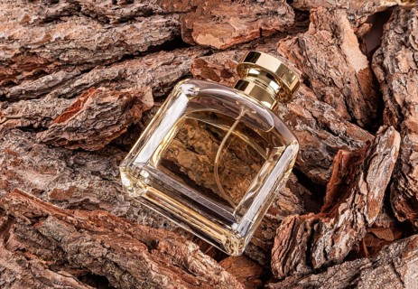 A luxurious male perfume bottle with a golden cap rests on natural, textured wood bark The