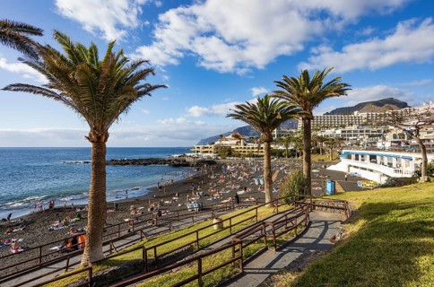 Palm trees with Las Arenas beach in Puerto de Santiago, Atlantic, Tenerife, Canary Islands, Spain