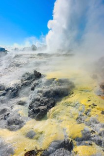 Prince of Wales and Pohutu geysers erupting, Te Puia Thermal Valley, Rotorua, Bay of Plenty, North