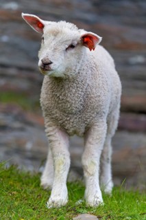 Varanger, Finnmark, Norway