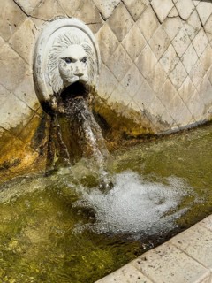 Partial view of large in the picture gargoyle in the form of head of lion lion head below