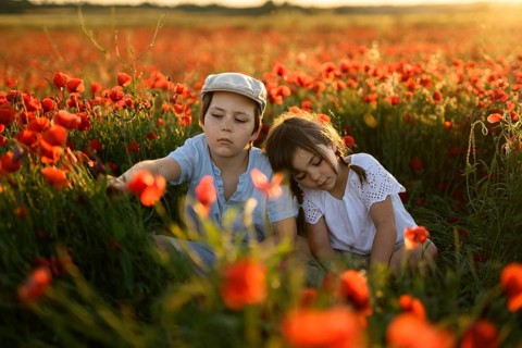 A young boy and his sister, in a Papaver rhoeas field, common names including common poppy and red