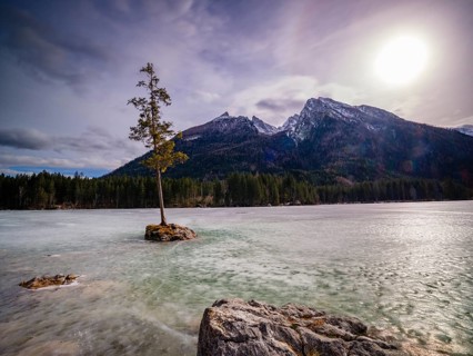 Tree on a small rock in frozen Hintersee, above Hochkalter, Berchtesgaden National Park, Ramsau,