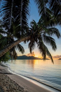 Anse Government beach at Hotel L'Archipel Resort, Praslin, Republic of Seychelles, Indian Ocean