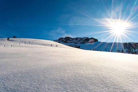 2 ski tourers on a deep snow slope under sunshine, next to downhill tracks, small grater,