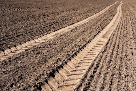 Tractor tracks, agricultural trails at a cultivated field in springtime, farmland near Wesertal,
