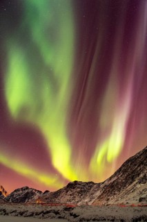 Aurora over the mountains and sea of Lofoten, Northern Lights, Northern Lights, Landscape, Leknes,