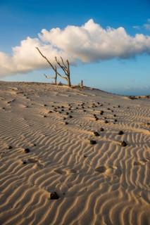 Lonely white sandy beach with dunes, sunrise, Porto Pino, Sardinia, south coast, Italy