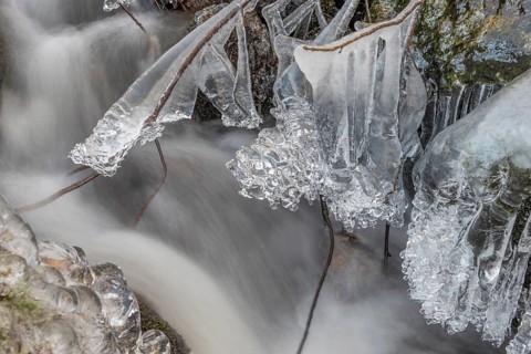 Branches are covered with ice near the river. The water flows gently and forms ice formations on