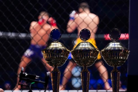 Cups standing in front of the ring where the fight takes place