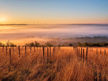 Morning atmosphere in the Saale Valley near the village of Eulau in autumn, fog sweeping through