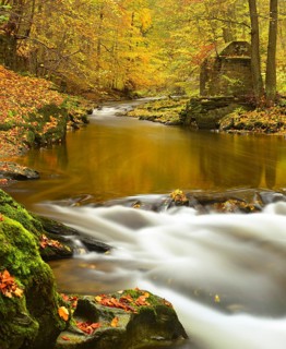Autumn on the Schwarza river in the Schwarzatal valley between Bad Blankenburg and Schwarzburg,