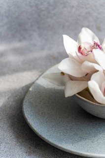 A delicate arrangement of white orchids in a textured ceramic bowl. The soft lighting highlights