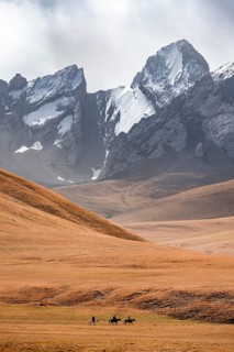 Rider in front of mountain landscape with yellow meadows, mountain peak, Keltan Mountains, Sary